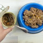 hunde dosenfutter nassfutter tipps ernährung