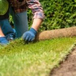 rollrasen verlegen tipps vorbereitung