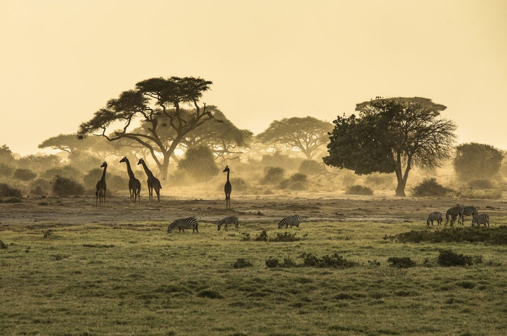 kenia nationalparks 