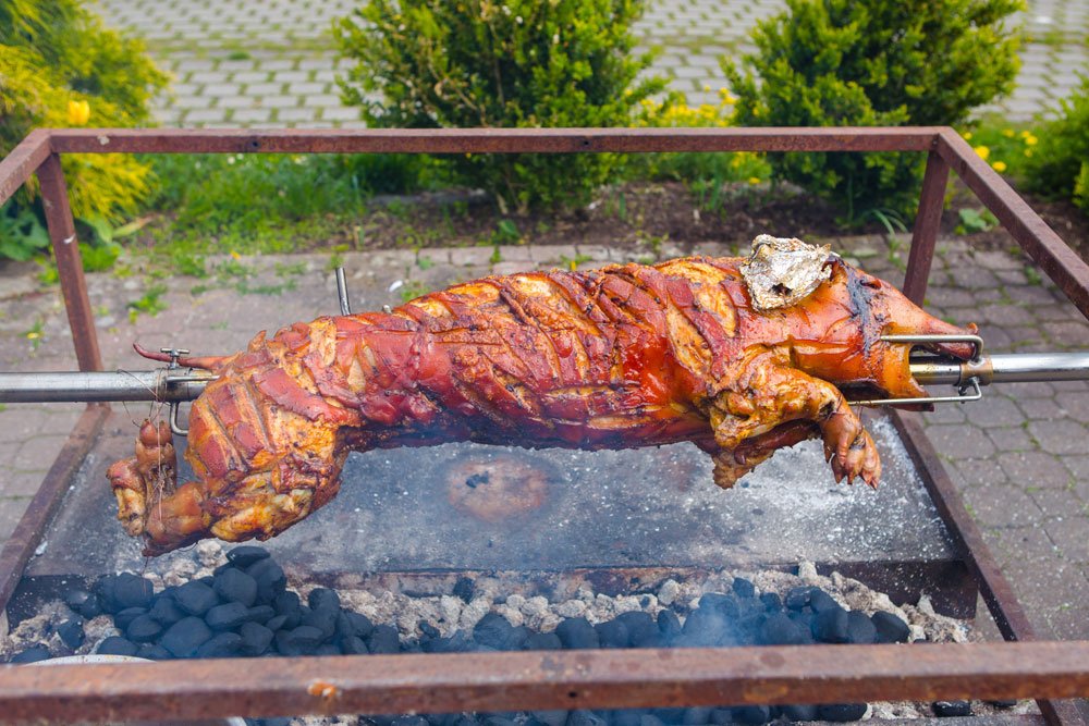 spanferkel grillen tipps meister