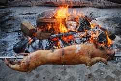 © Bluekea - Fotolia.com Das Spanferkel muss sich gleichmäßig drehen