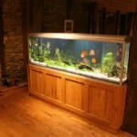 aquarium einrichten tipps planung