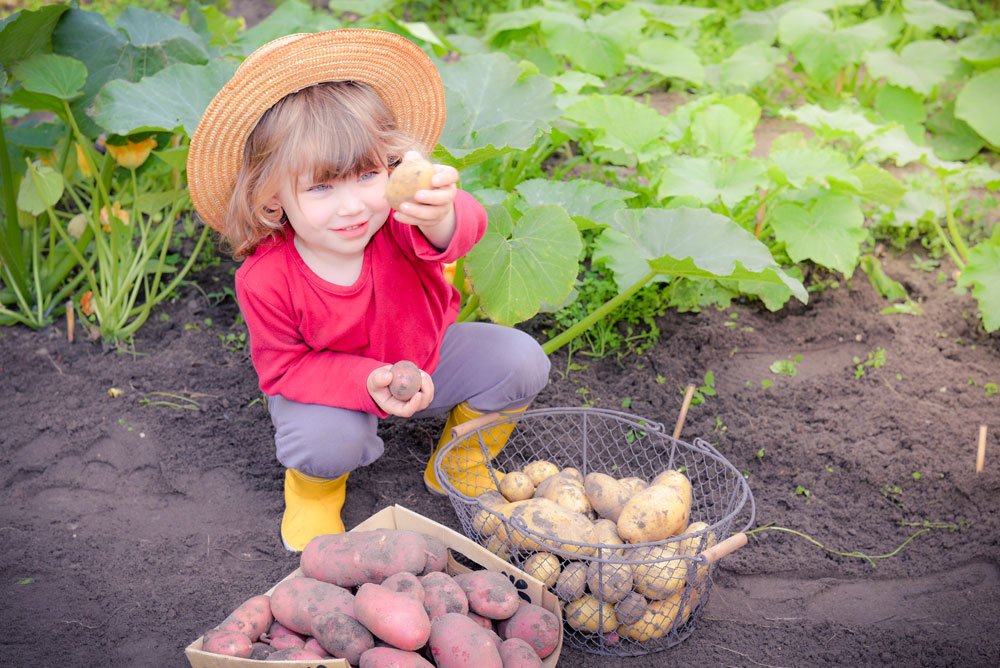 garten kinder kindgerecht nutzgarten lernen