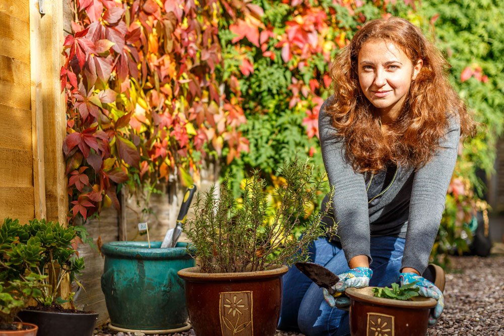 gartenarbeit oktober herbst laub