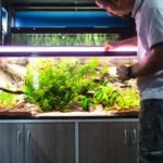 aquarium abdichten nleitung tipps