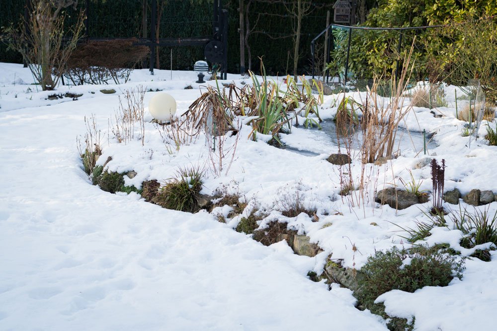 teich gartenteixh winterfest tipps