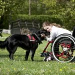 Invaliditaet bei Kindern