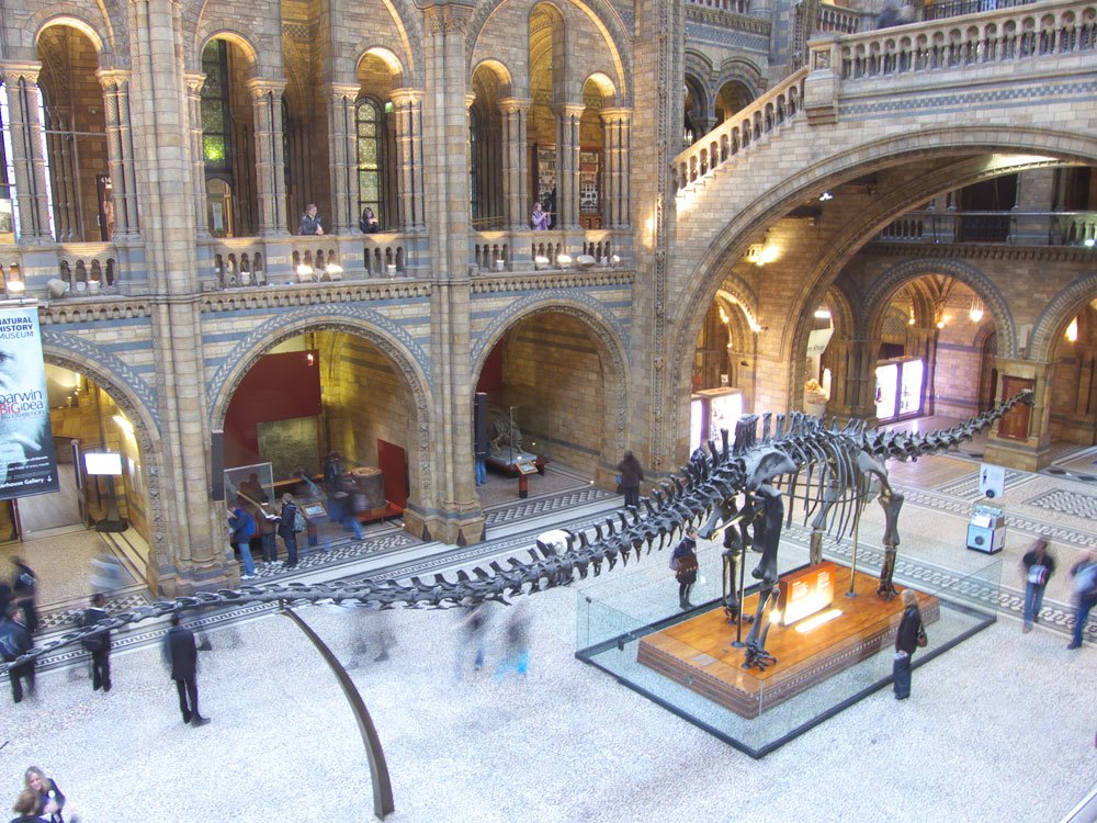 museum london urlaub tipps