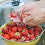 erdbeeren waschen tipps anleitung