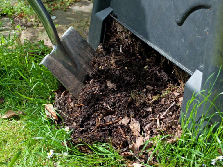 Richtig kompostieren – So wirds gemacht