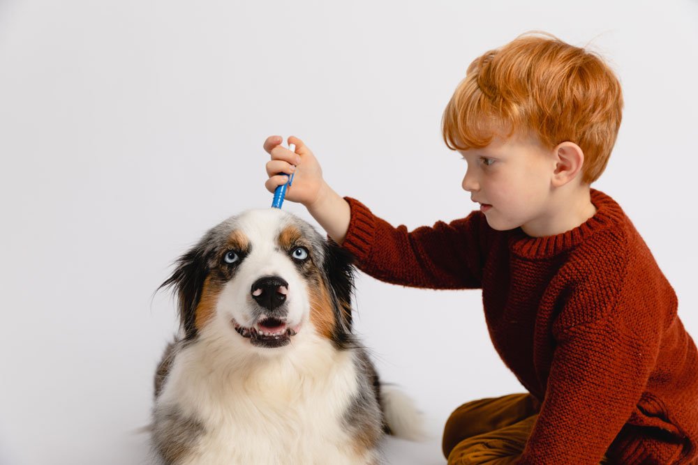 hund parasiten bandwurm spulwurm tipps symptome