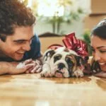 hund kaufen züchter tipps