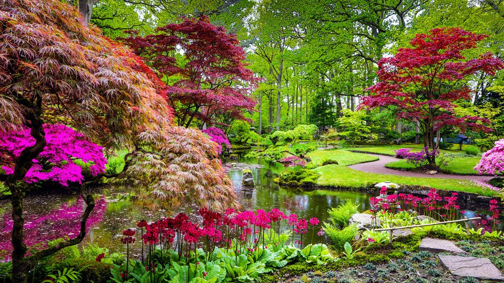 japanischer garten gestaltung pflanzen