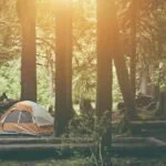 wild campen tipps