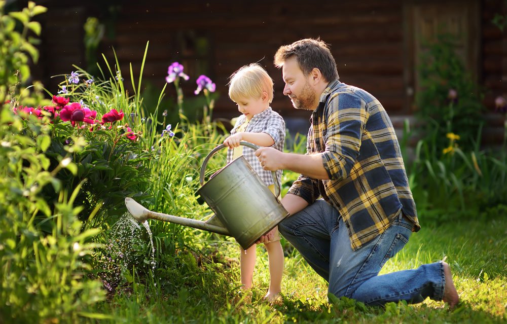 sommerblumen stauden tipps beet anleitung