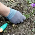 garten arbeit märz tipps
