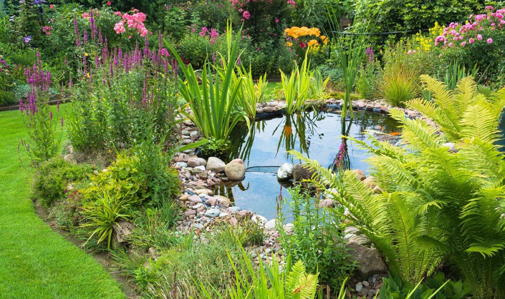 gartenteich garten neugestaltung