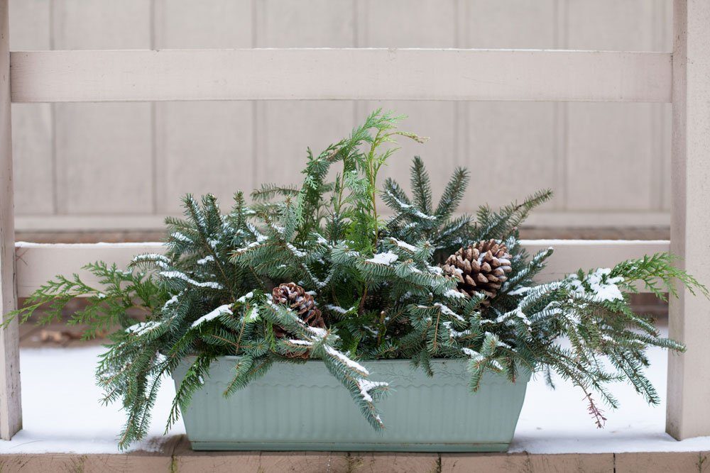 Weihnachtsdeko draußen Tannengrün Blumentopf