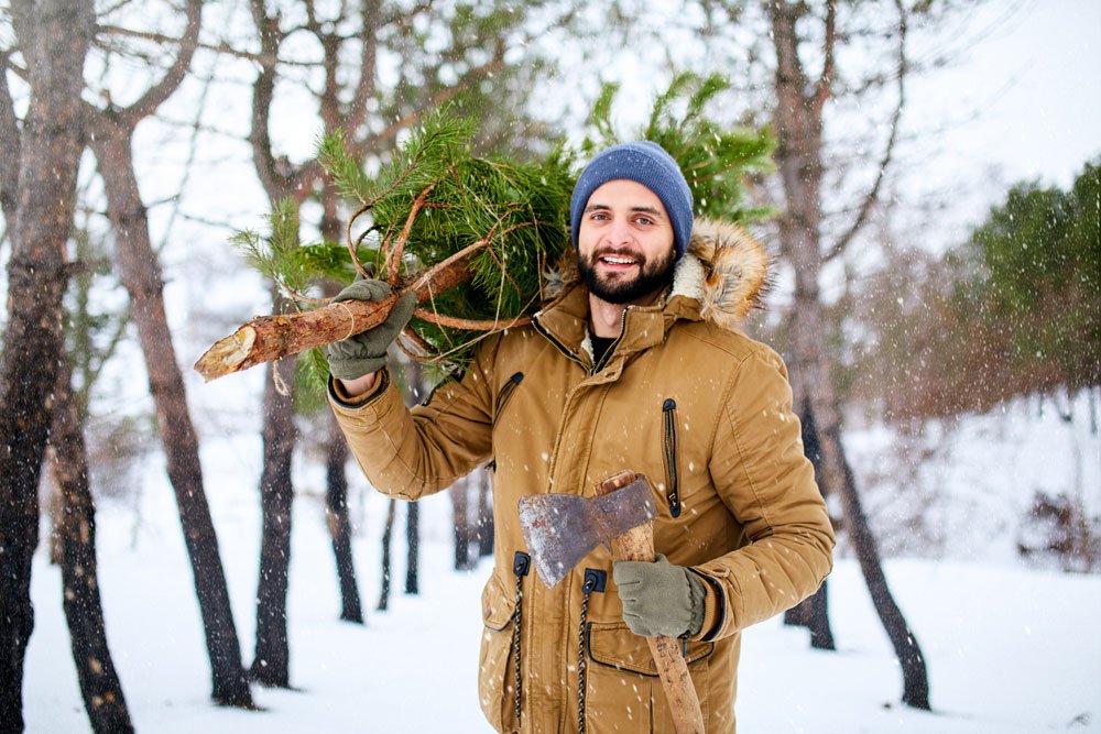 weihnachtsbaum schlagen tipps anleitung