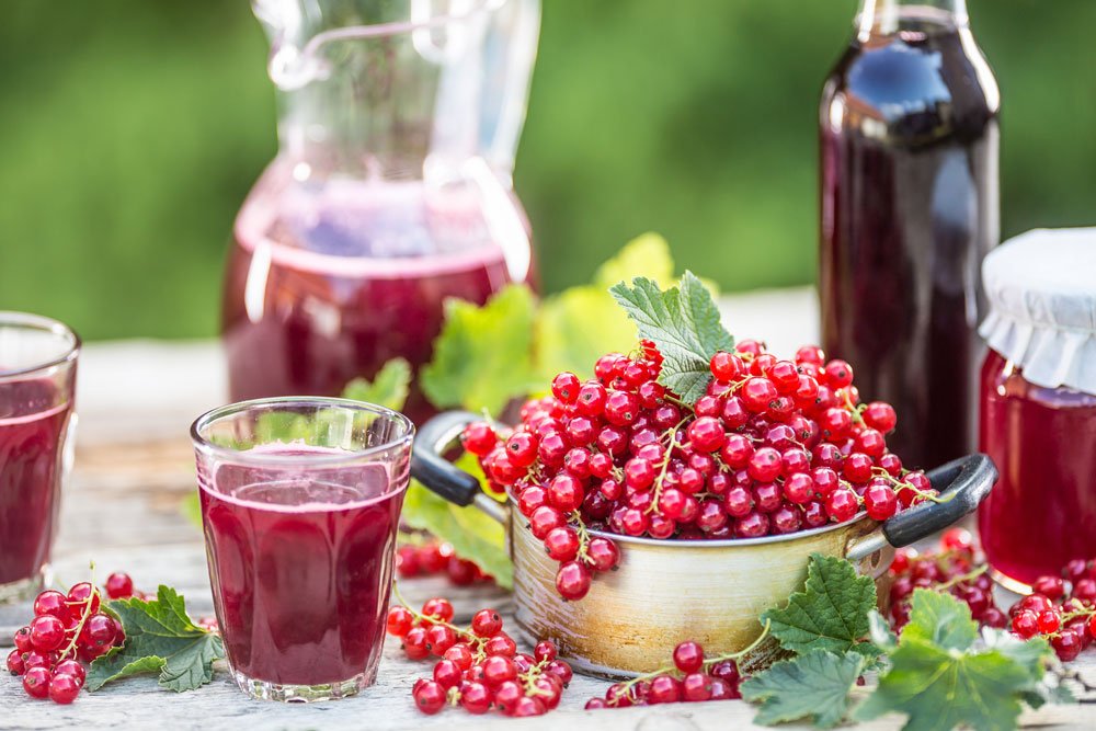 Vitaminbombe Johannisbeergetränk mit Ingwer.