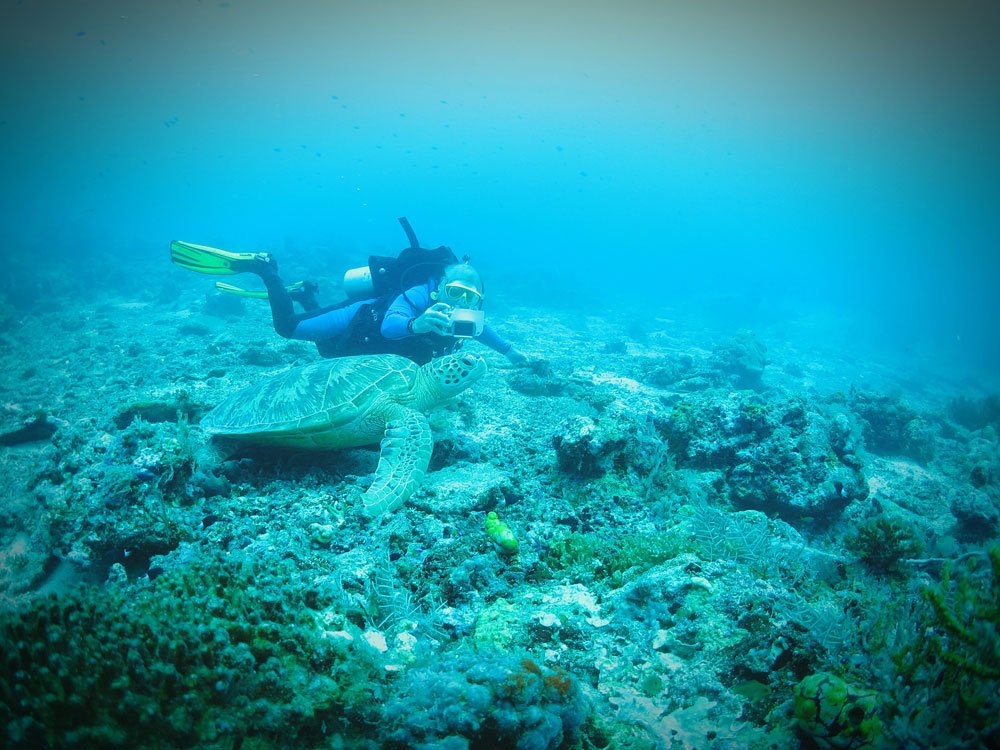 Taucher fotografiert Schildkröte unter Wasser.