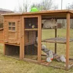 Kaninchen Haltung Stall artgerecht