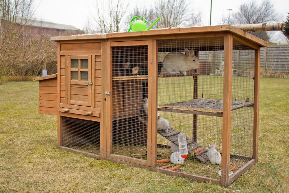 Kaninchen Haltung Stall artgerecht