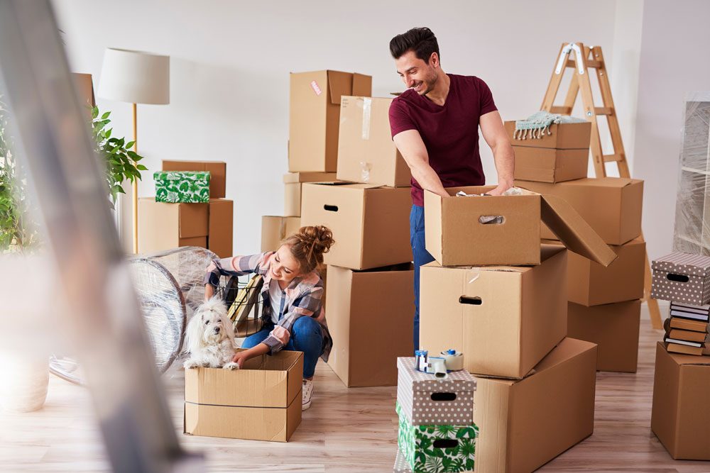 Professionelles Umzugsunternehmen oder privater Umzug? Pärchen packt Kisten für den Umzug.